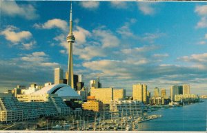 Canada Toronto Ontario Vintage Postcard 07.43