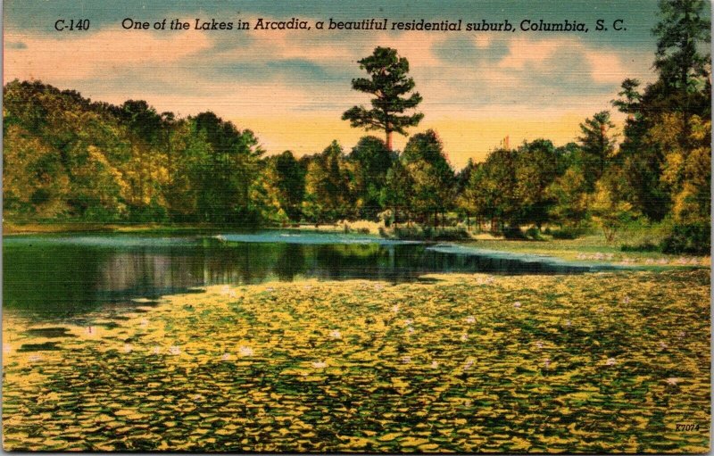 Vtg Columbia South Carolina SC Lake in Arcadia Residential Suburb 1940s Postcard