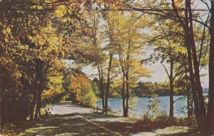 Summer rusting into Autumn - Mont-Laurier QC, Quebec, Canada - pm 1956