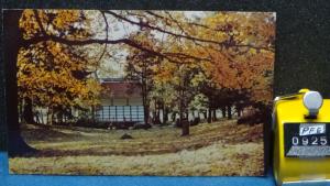 STD Vintage Autumn Japanese Garden Sonnenburg Gardens Canandaigua NY Unposted