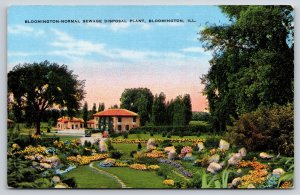 Bloomington IL~Bloomington-Normal Sewage Disposal Plant~Vintage Linen Postcard