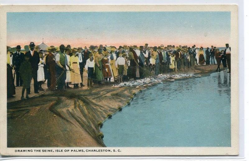 Drawing the Seine Net Fishing Isle Palms Charleston South Carolina postcard