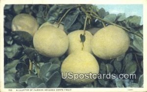 Arizona Grape Fruit - Misc