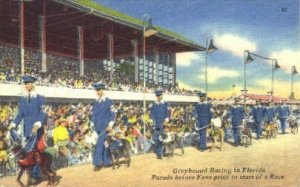 Greyhound Racing - Misc, Florida FL  