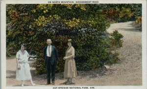 1920s On North Mountain Government Road Hot Springs National Park AR Postcard