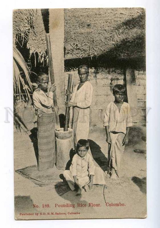 213912 CEYLON COLOMBO Pounding Rice Flour Vintage postcard