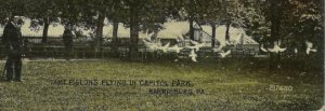 Tame Pigeons Flying In Capitol Park - Harrisburg Pennsylvania - Divided Back