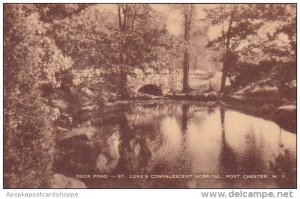 New York Port Chester Duck Pond Saint Lukes Convalescent Hospital Albertype