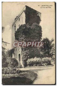 Old Postcard Montpellier Tower of Pines