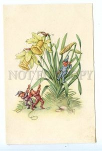 499234 LEMANS Gnome ELF Flowers NARCISSUS Vintage postcard