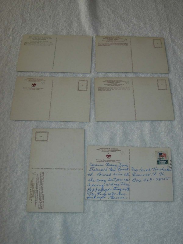 Winterthut DE - Lot Of 6 Great Vintage Postcards - x0519