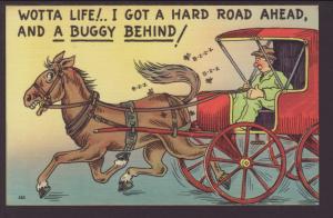 Wotta Life! Horse and Buggy Comic Postcard