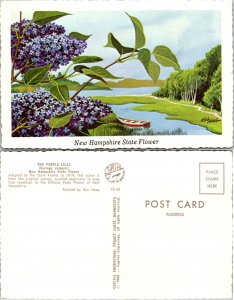 New Hampshire State Flower (12074)