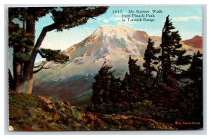 View From Pinacle Peak Mt Rainier National Park Washington UNP DB Postcard N24