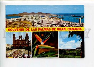 3142693 Spain LAS PALMAS De gran Canaria SOUVENIR Old photo PC