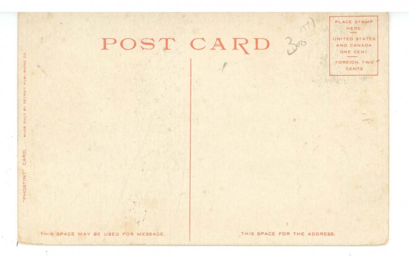 NH - Plymouth. Main Street & Common ca 1908