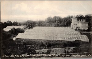 Greenhouses for Saltford Flower Shop, Poughkeepsie NY Vintage Postcard M71