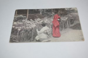 Horikiri Iris Garden Tokio Japan Postcard