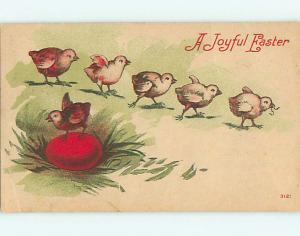 Divided-Back easter CHICKS CHASE CHICK WITH WORM r3480