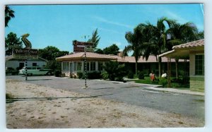 ST PETERSBURG, FL Florida  Roadside  PELICAN COURT c1950s Car  Postcard