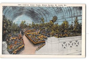 St Louis Missouri MO Postcard 1915-1930 Shaws Garden Interior Green House