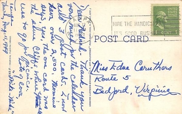 Picking Oranges in Florida, USA  