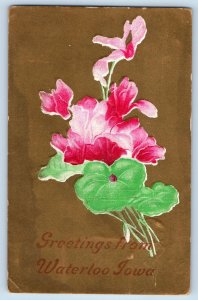 Waterloo Iowa IA Postcard Greetings Embossed Flowers And Leaves 1911 Antique