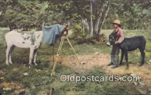 Camera 1912 crease left top corner and right top corner, chip off left bottom...