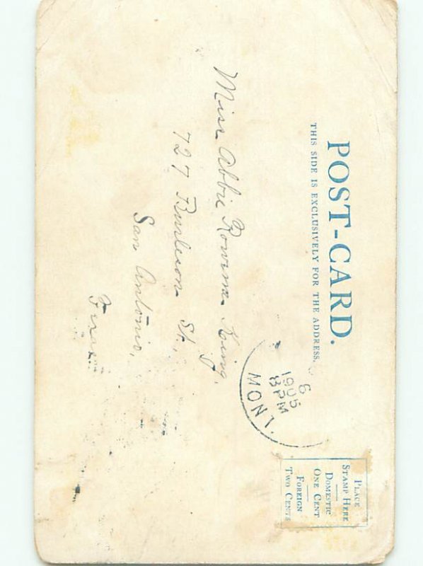 Divided-Back ANIMAL SCENE Great Postcard AA9583