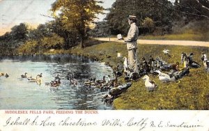 Middlesex Fells Park in Middlesex Fells, Massachusetts Feeding the Ducks.