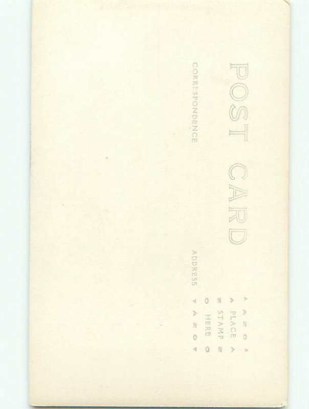 Old rppc NATURE SCENE Great Postcard AB0668