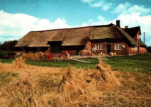 VINTAGE CONTINENTAL SIZE POSTCARD FARM AND OUTHOUSE HAYSTACK GERMANY