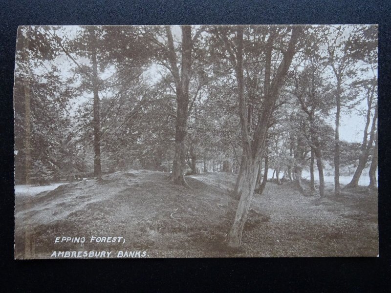 London Essex EPPING FOREST Ambrebury Banks - Old RP Postcard by Frith