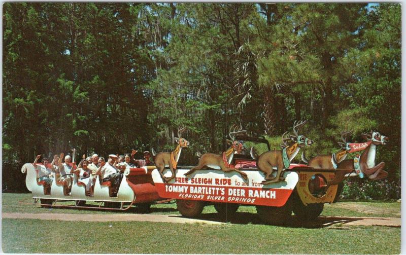 SILVER SPRINGS, FL Florida  Sleigh Ride DEER RANCH    c1950s  Roadside  Postcard