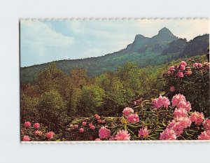 Postcard Grandfather Mountain Linville North Carolina USA