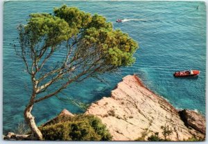 Postcard - Trees Boats Nature Sea Scenery