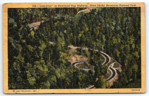 1940 GREAT SMOKY MOUNTAINS NATIONAL PARK LOOP-OVER NEWFOUND GAP POSTCARD P3209
