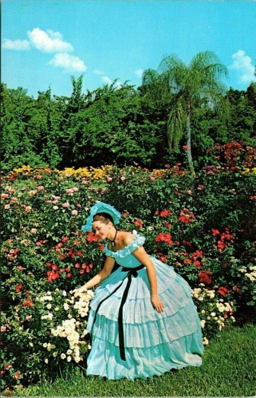 Postcard Cypress Gardens Antebellum Dress Flowers Florida Scenic Unposted 1499