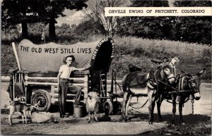 Orville Ewing of Pritchett, CO Covered Wagon, Goats Burros Vintage Postcard U69