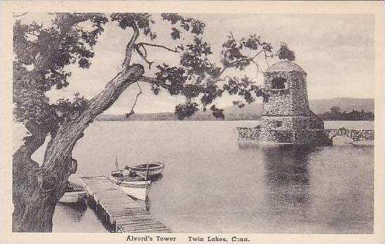 Connecticut Twin Lakes Alvords Tower Albertype