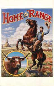 USPS Home on the Range 1993 Cowboy Postcard