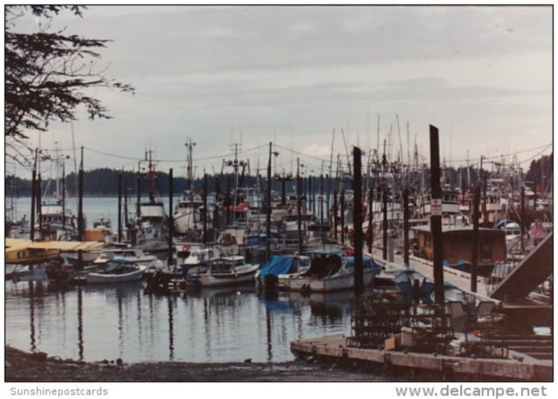 Alaska Yakutat Harbor Scene With Fishing Boats