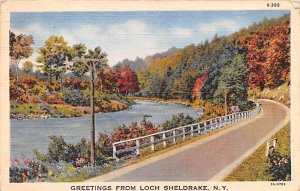 Greetings from Loch Sheldrake New York  