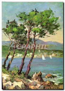 Postcard Modern Provence Pins Maritimes