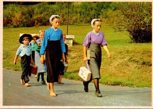 Pennsylvania Amish Country Amish Children Walking Home From School