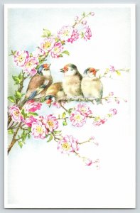 Mainzer Birds~Row Of Blue Red Headed Birds~Fluffy White Breasts~Pink Flowers