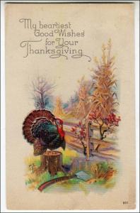 Thanksgiving, Turkey on Stumpp by Fence