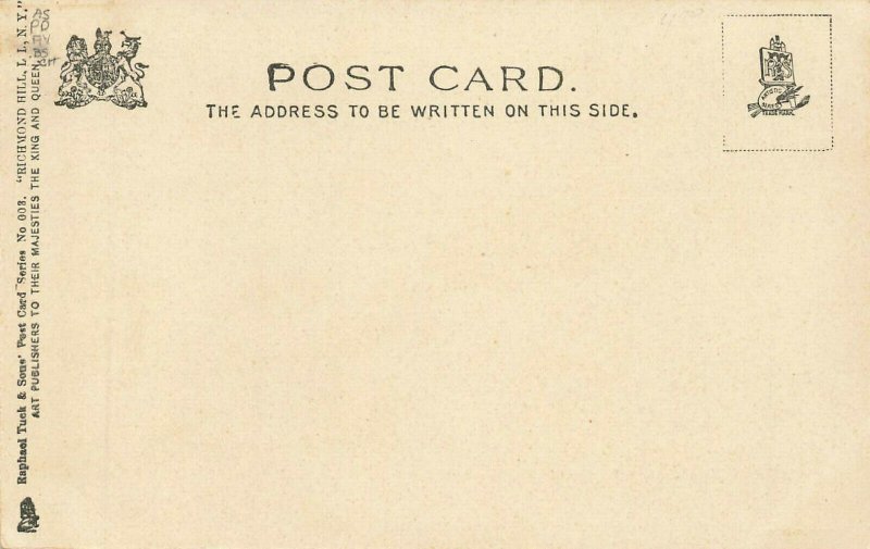 Richmond Hill L. I. NY Carnegie Library Raphael Tuck Postcard