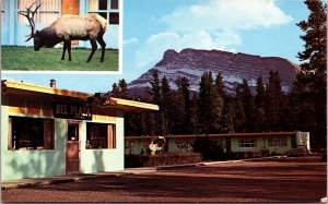 Vtg Banff Alberta Canada Bel Plaza Motel 1950s Old Chrome View Postcard