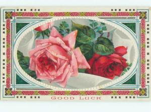 Divided-Back BEAUTIFUL FLOWERS SCENE Great Postcard AA2406